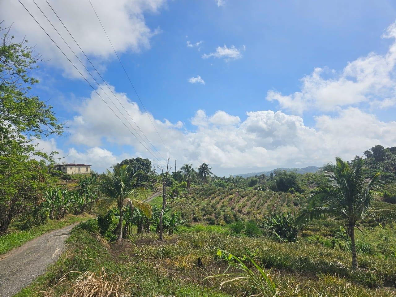 Third image of Tangle River, St.james in Tangle River, St. James, Jamaica - property is For Sale