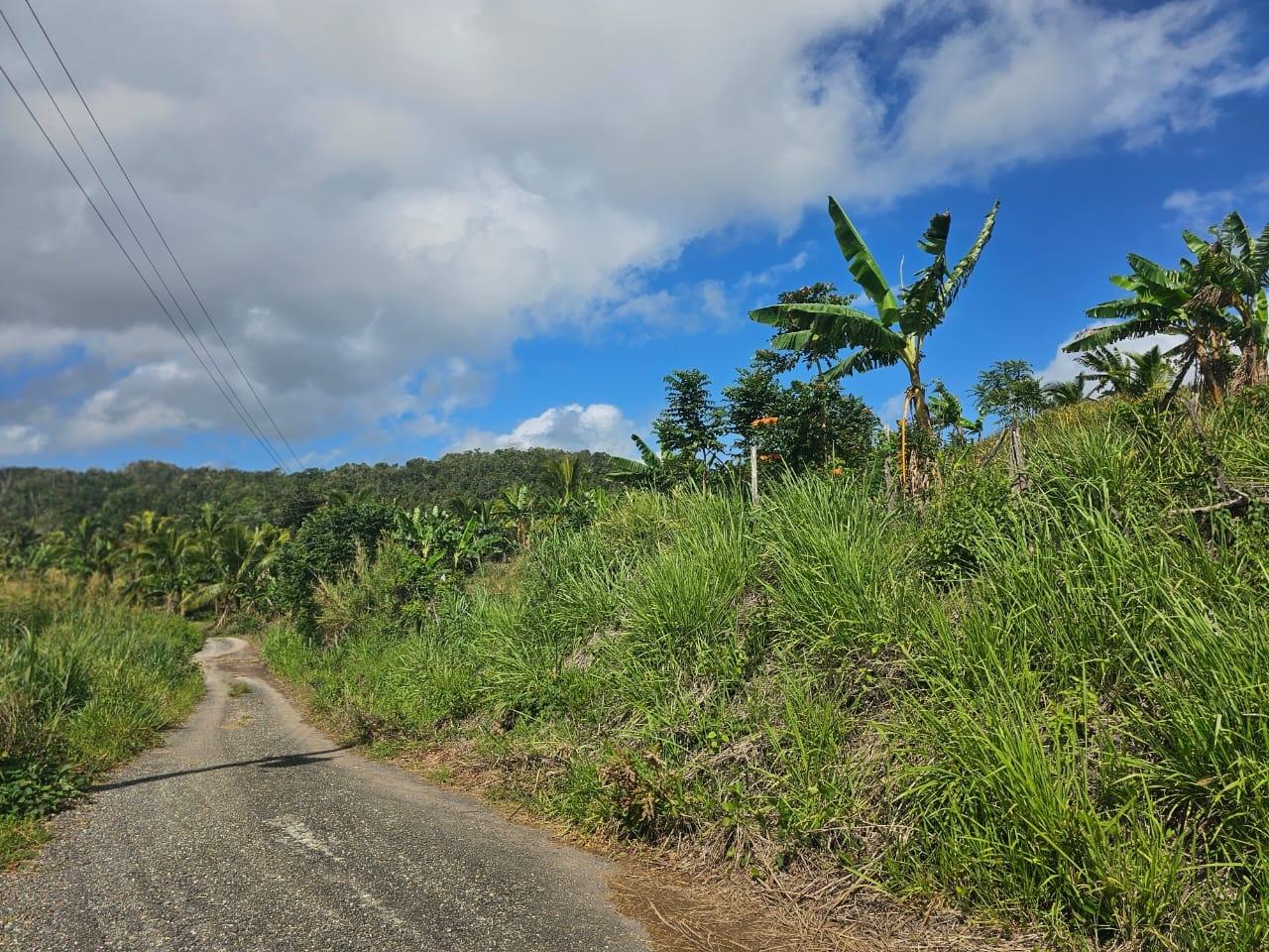 Fourth image of Tangle River, St.james in Tangle River, St. James, Jamaica - property is For Sale