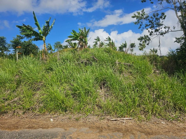 Fifth image of Tangle River, St.james in Tangle River, St. James, Jamaica - property is For Sale