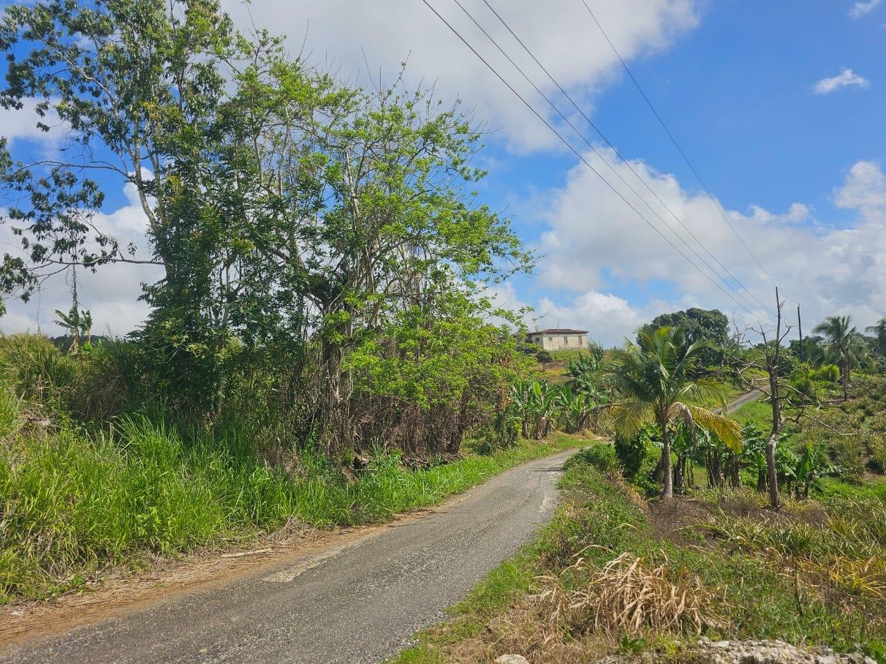 Sixth image of Tangle River, St.james in Tangle River, St. James, Jamaica - property is For Sale