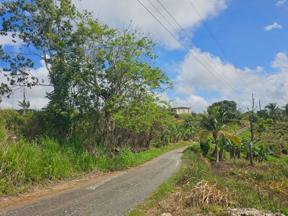 Sixth image of Tangle River, St.james in Tangle River, St. James, Jamaica - property is For Sale