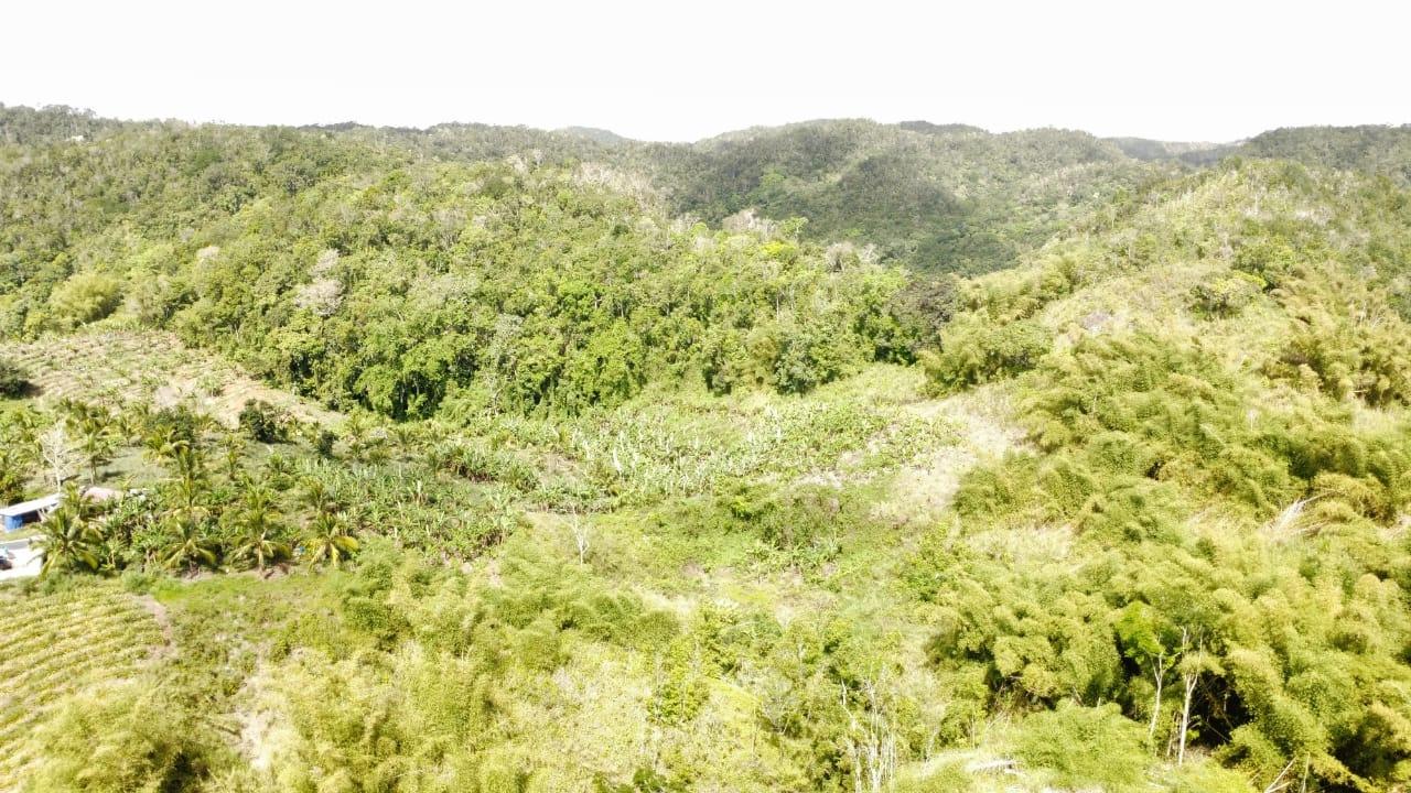 Seventh image of Tangle River, St.james in Tangle River, St. James, Jamaica - property is For Sale