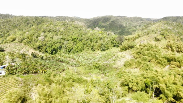 Seventh image of Tangle River, St.james in Tangle River, St. James, Jamaica - property is For Sale