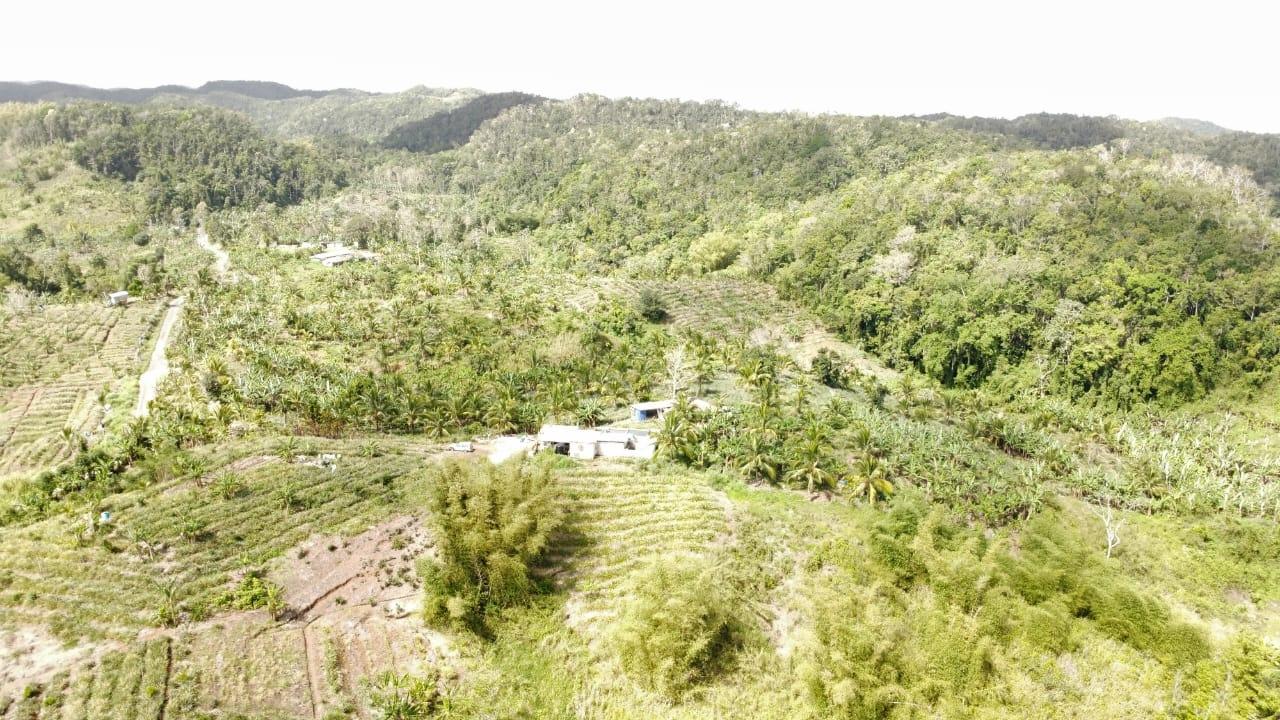 Eighth image of Tangle River, St.james in Tangle River, St. James, Jamaica - property is For Sale