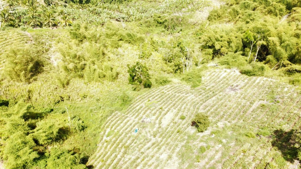 Ninth image of Tangle River, St.james in Tangle River, St. James, Jamaica - property is For Sale
