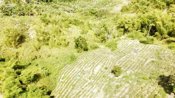 Ninth image of Tangle River, St.james in Tangle River, St. James, Jamaica - property is For Sale