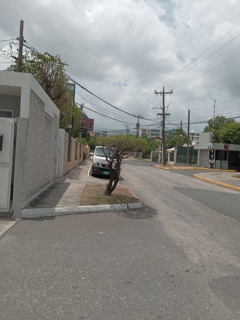 Seventh image of 22 Trafalgar Road in Kingston 5, St. Andrew, Jamaica - property is For Rent