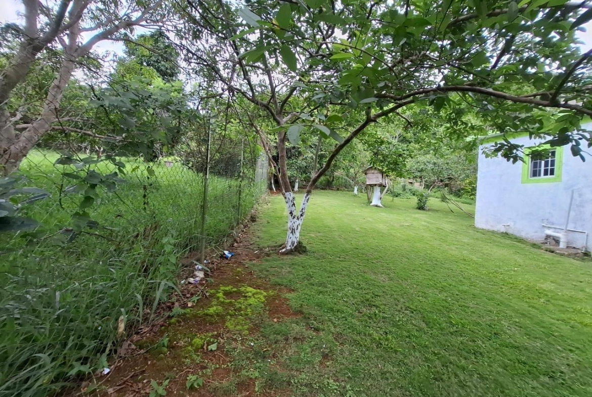 Eleventh image of Balaclava, St. Elizabeth in Balaclava, St. Elizabeth, Jamaica - property is For Sale