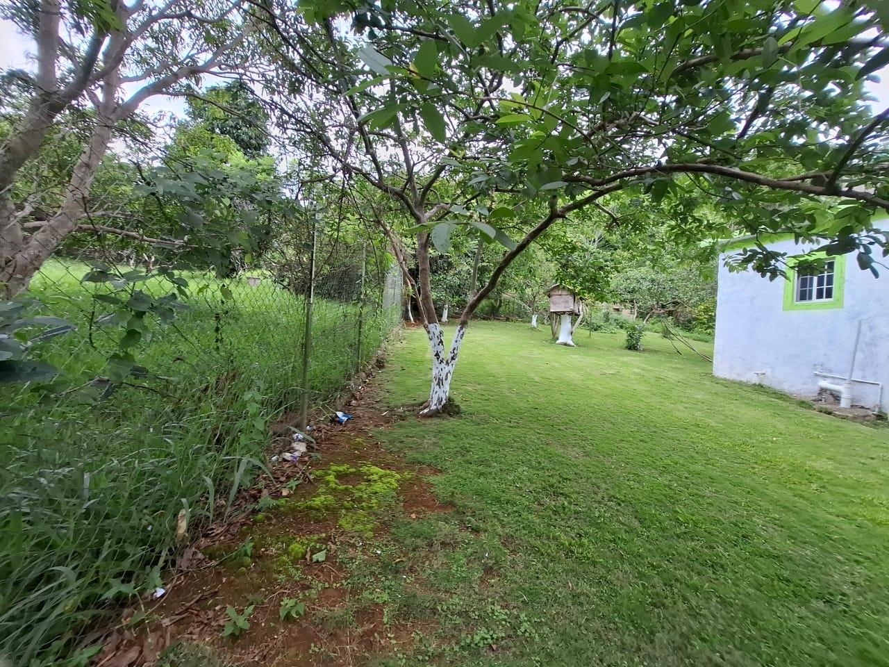 Eleventh image of Balaclava, St. Elizabeth in Balaclava, St. Elizabeth, Jamaica - property is For Sale