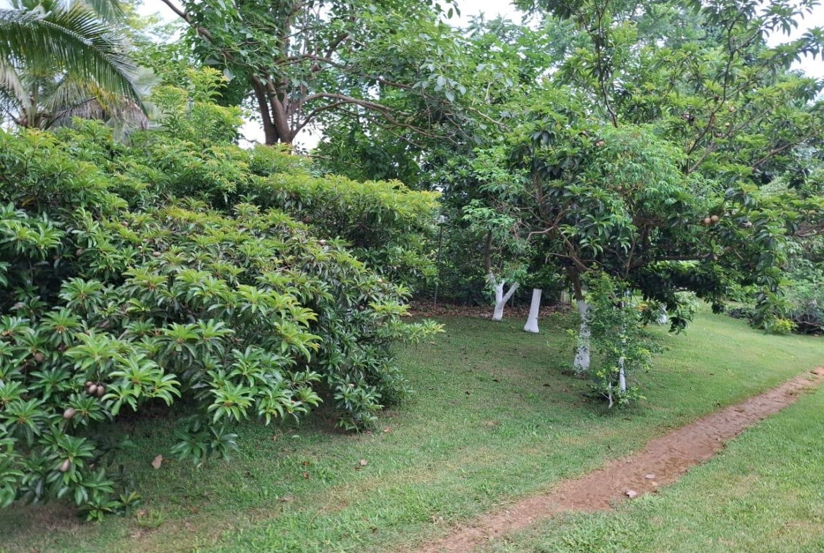 Twelfth image of Balaclava, St. Elizabeth in Balaclava, St. Elizabeth, Jamaica - property is For Sale