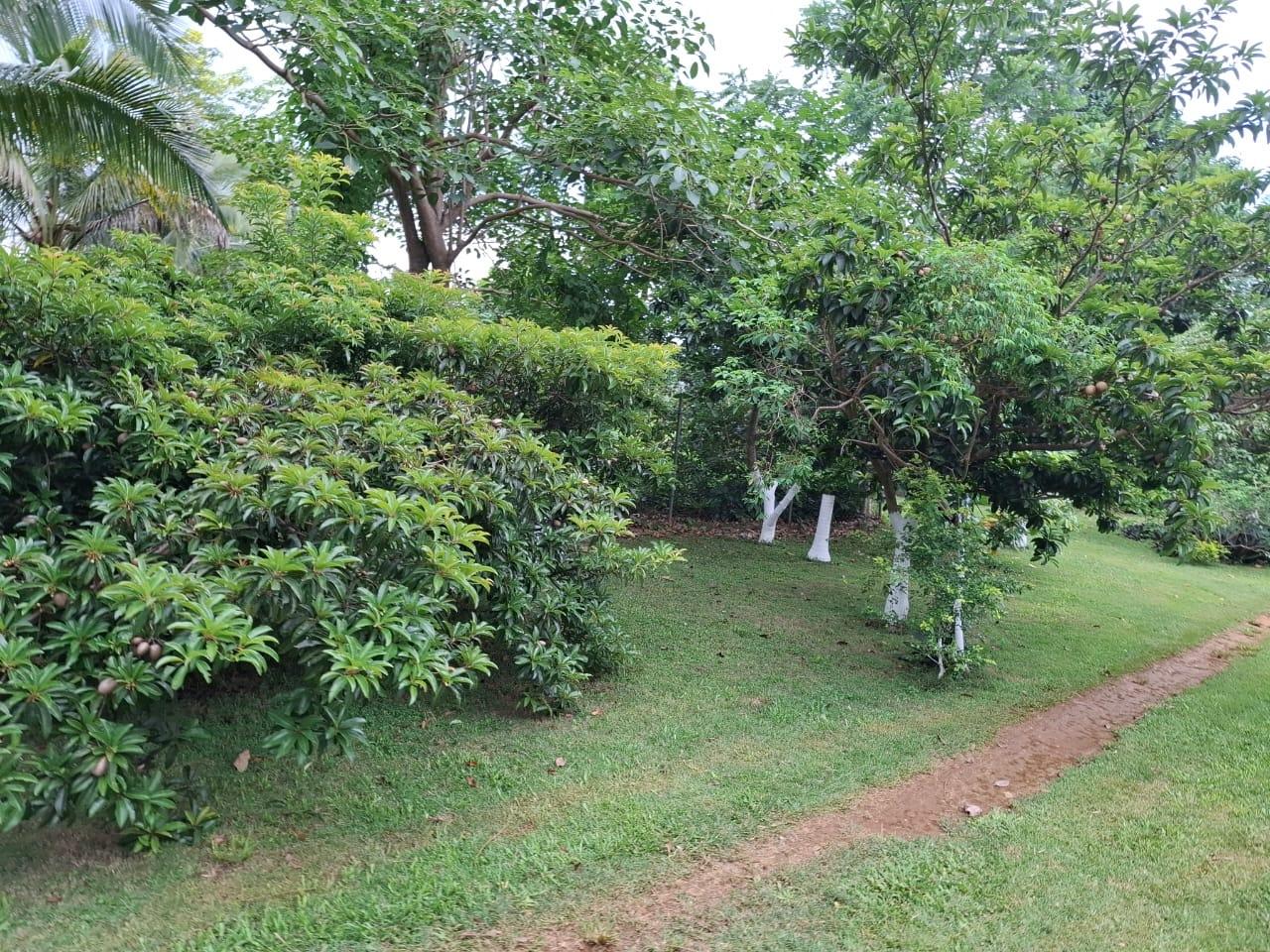 Twelfth image of Balaclava, St. Elizabeth in Balaclava, St. Elizabeth, Jamaica - property is For Sale