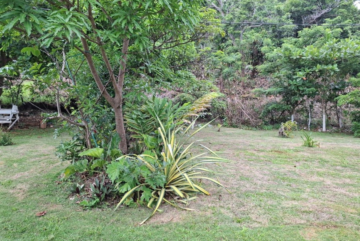 Thirteenth image of Balaclava, St. Elizabeth in Balaclava, St. Elizabeth, Jamaica - property is For Sale