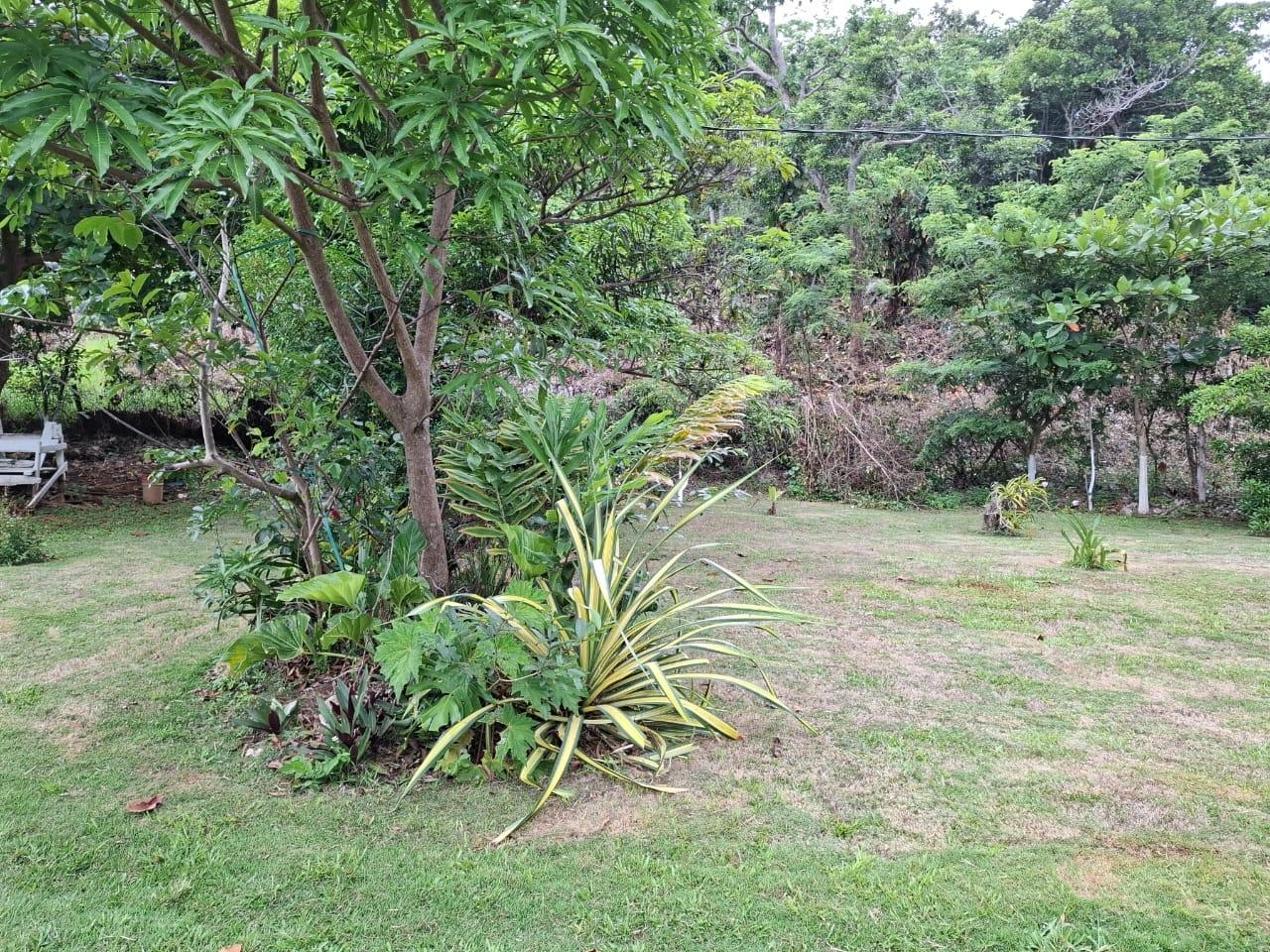 Thirteenth image of Balaclava, St. Elizabeth in Balaclava, St. Elizabeth, Jamaica - property is For Sale