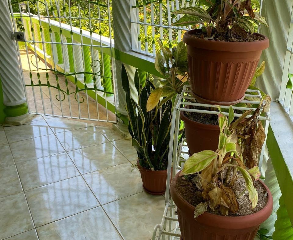 Twenty-First image of Balaclava, St. Elizabeth in Balaclava, St. Elizabeth, Jamaica - property is For Sale