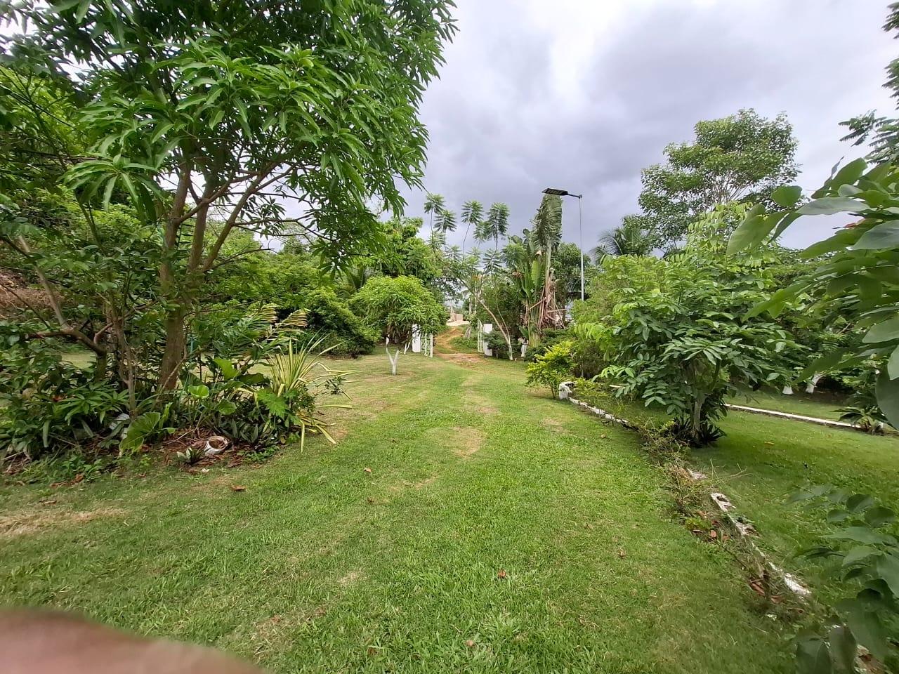 Fifth image of Balaclava, St. Elizabeth in Balaclava, St. Elizabeth, Jamaica - property is For Sale