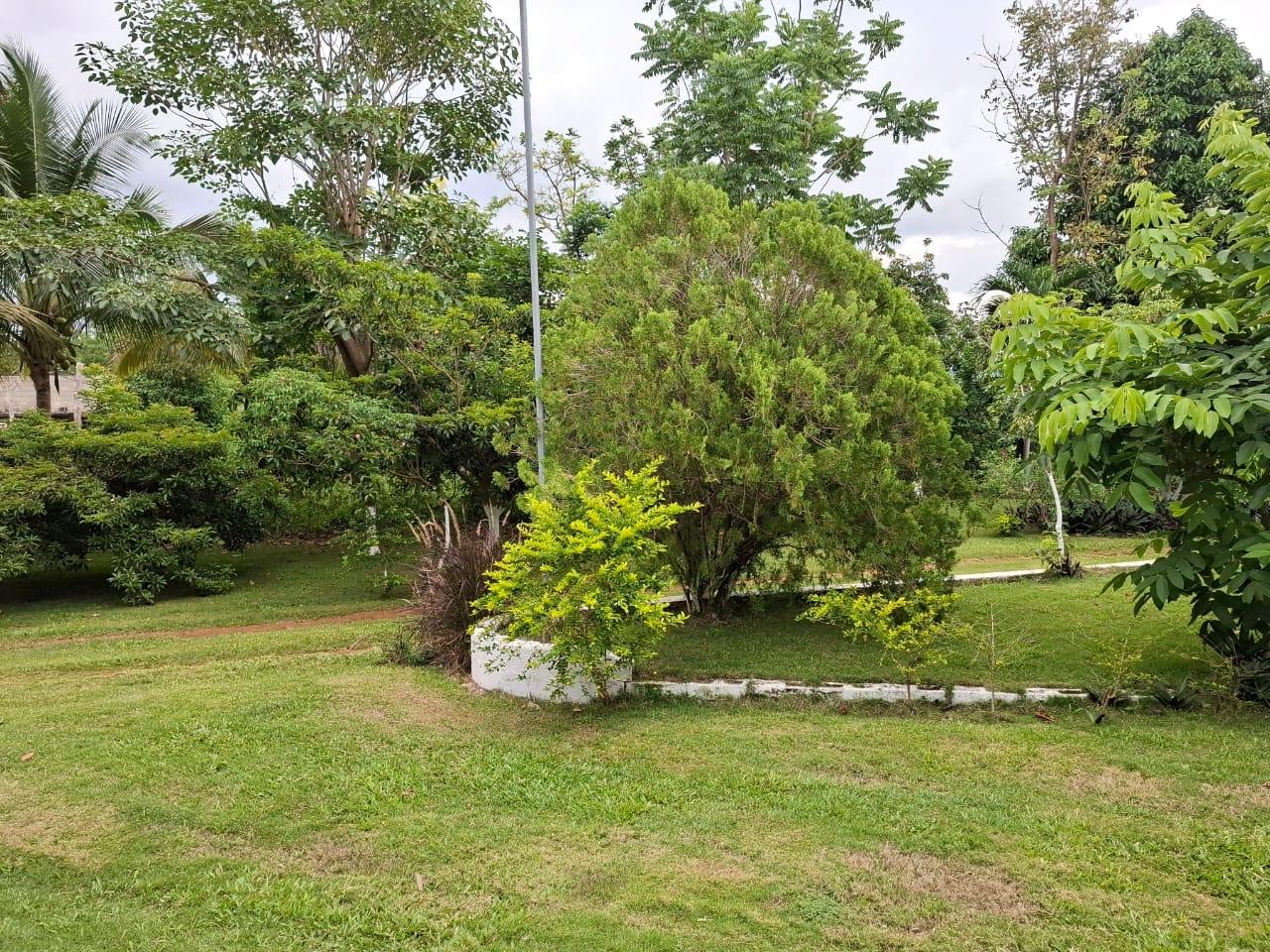 Sixth image of Balaclava, St. Elizabeth in Balaclava, St. Elizabeth, Jamaica - property is For Sale