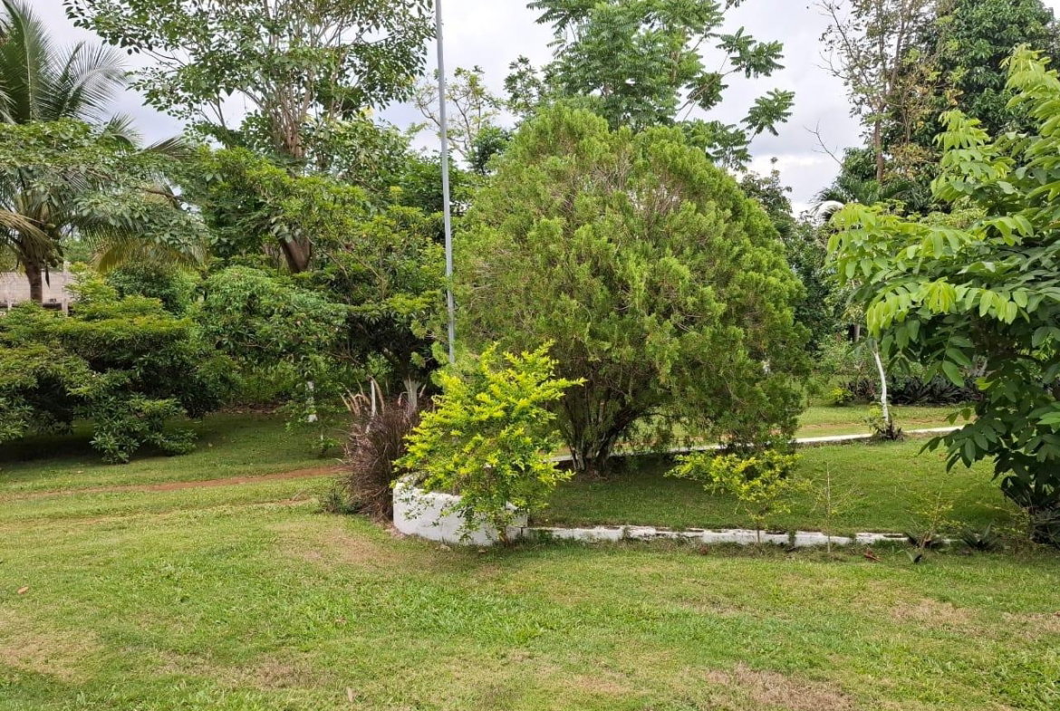 Seventh image of Balaclava, St. Elizabeth in Balaclava, St. Elizabeth, Jamaica - property is For Sale