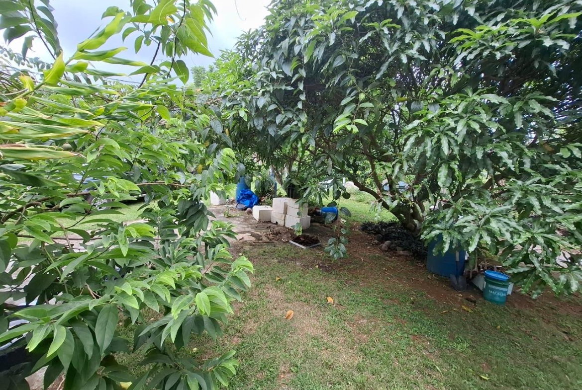 Eighth image of Balaclava, St. Elizabeth in Balaclava, St. Elizabeth, Jamaica - property is For Sale