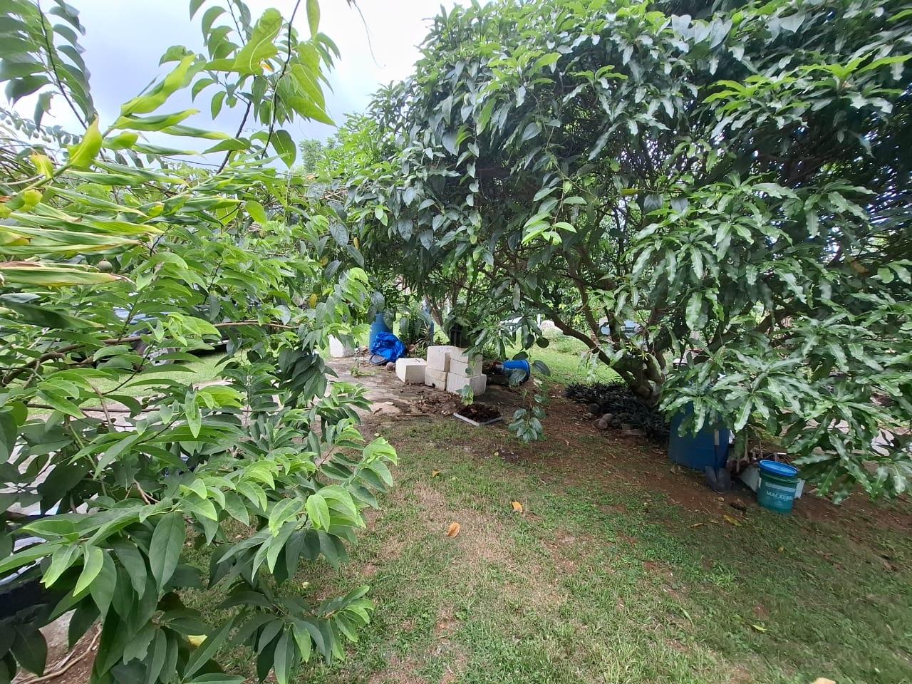 Eighth image of Balaclava, St. Elizabeth in Balaclava, St. Elizabeth, Jamaica - property is For Sale