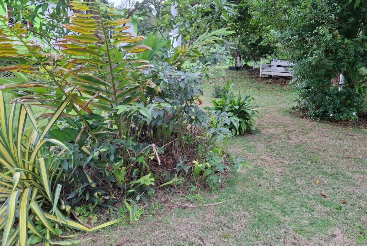 Ninth image of Balaclava, St. Elizabeth in Balaclava, St. Elizabeth, Jamaica - property is For Sale
