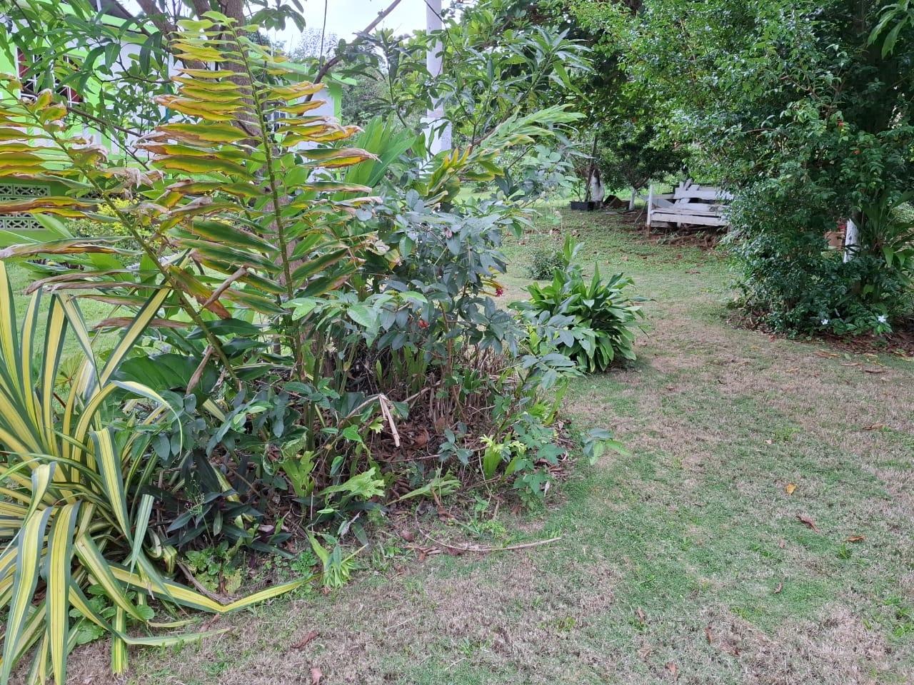 Ninth image of Balaclava, St. Elizabeth in Balaclava, St. Elizabeth, Jamaica - property is For Sale