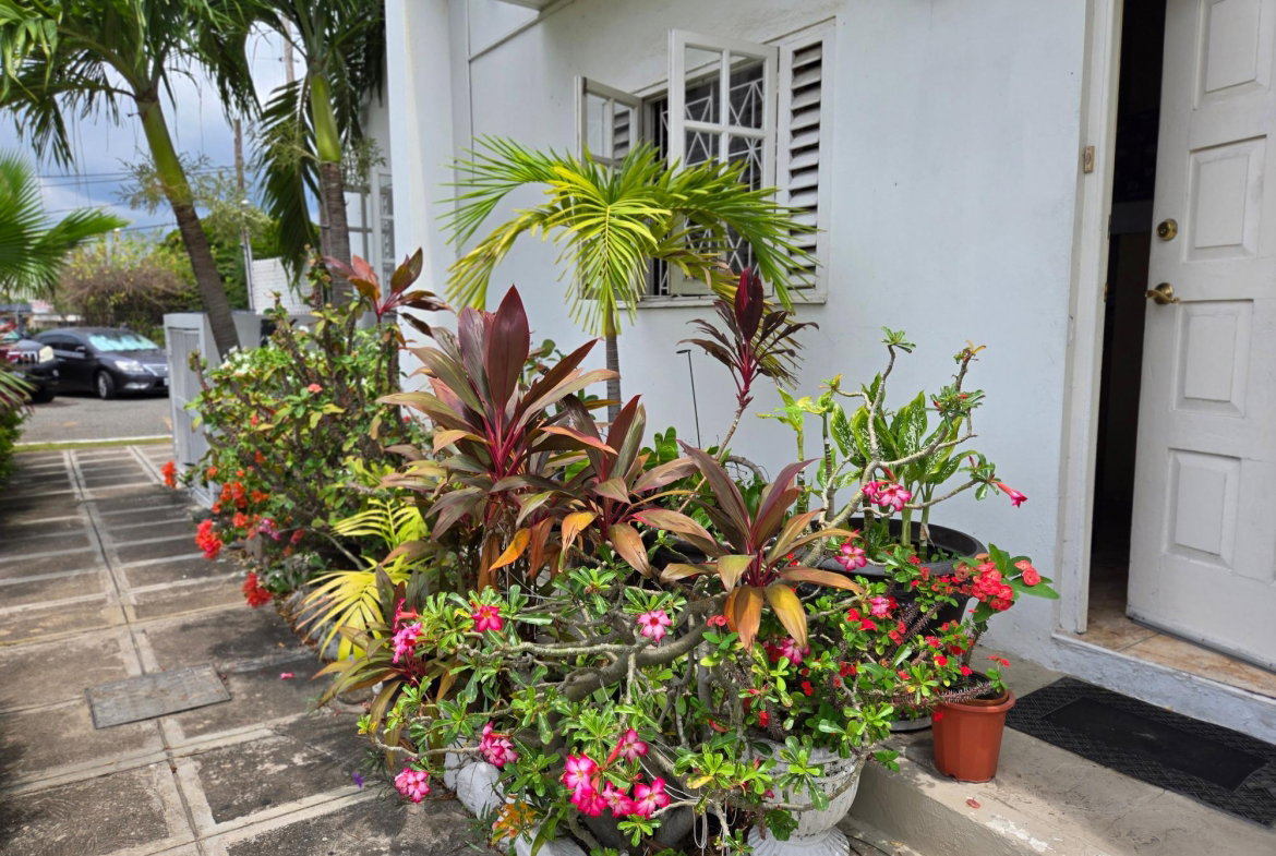 Second image of 3-1-3 Worthington Terrace in Kingston 5, St. Andrew, Jamaica - property is For Sale