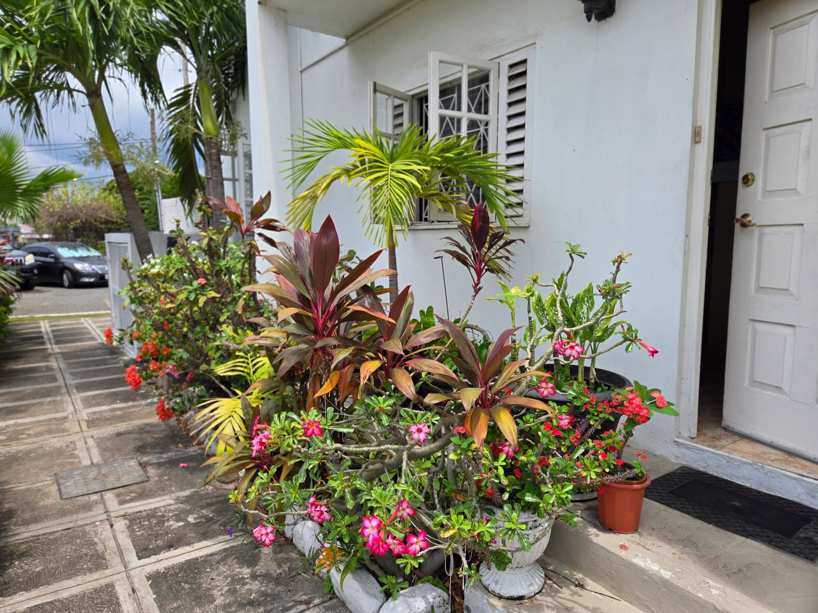 Second image of 3-1-3 Worthington Terrace in Kingston 5, St. Andrew, Jamaica - property is For Sale