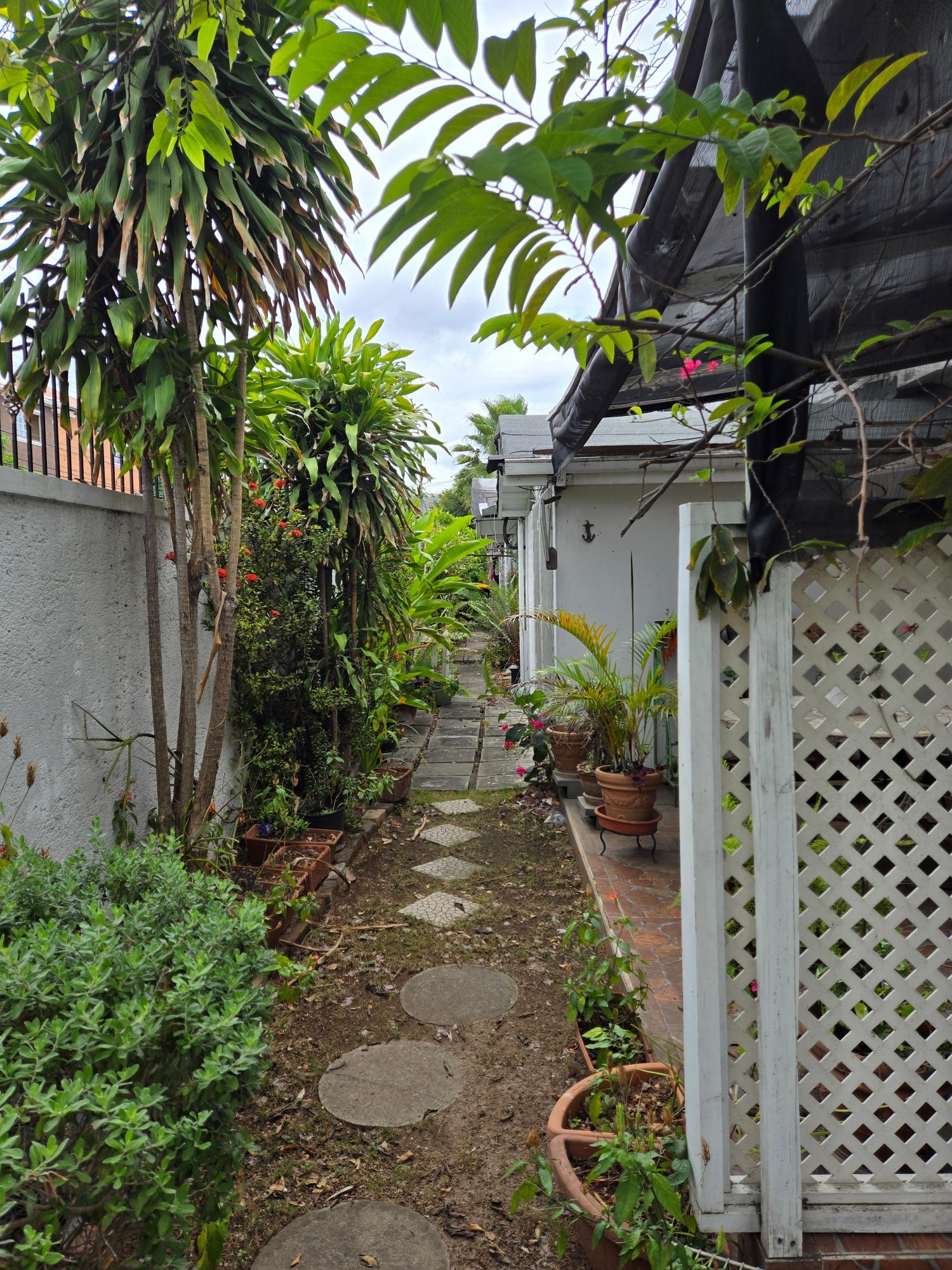 Twenty-Fifth image of 3-1-3 Worthington Terrace in Kingston 5, St. Andrew, Jamaica - property is For Sale