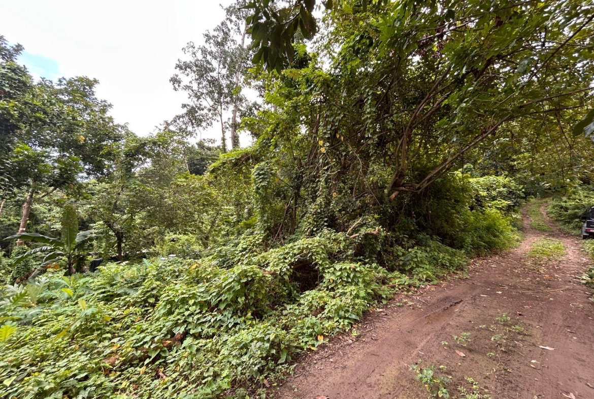 Second image of Lot 114 Kildare, Buff Bay in Buff Bay, Portland, Jamaica - property is For Sale