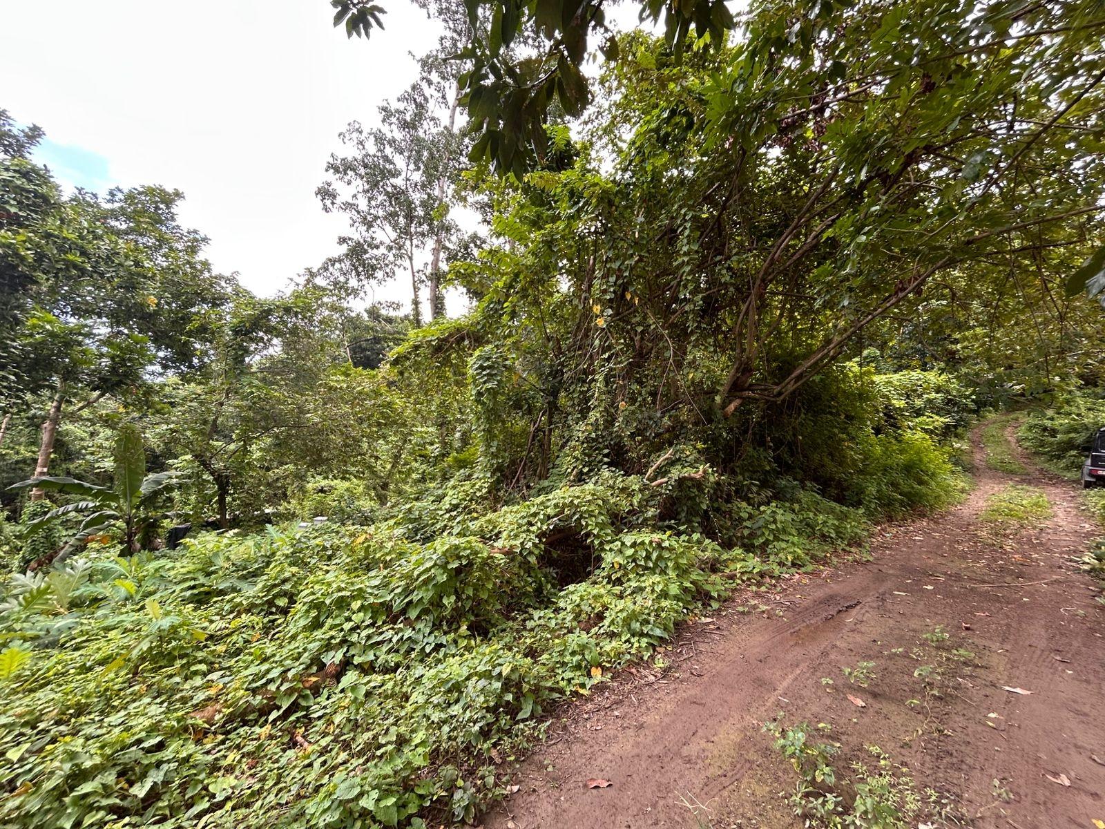 Development-Land-for-Sale-in-Kildare-Buff-Bay-Portland-Jamaica Second image of Lot 114 Kildare, Buff Bay in Buff Bay, Portland, Jamaica - property is For Sale