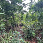 First image of Lot 114 Kildare, Buff Bay in Buff Bay, Portland, Jamaica - property is For Sale