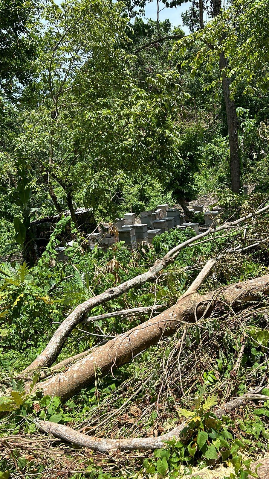 Development-Land-for-Sale-in-Kildare-Buff-Bay-Portland-Jamaica Sixth image of Lot 114 Kildare, Buff Bay in Buff Bay, Portland, Jamaica - property is For Sale