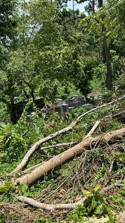 Sixth image of Lot 114 Kildare, Buff Bay in Buff Bay, Portland, Jamaica - property is For Sale