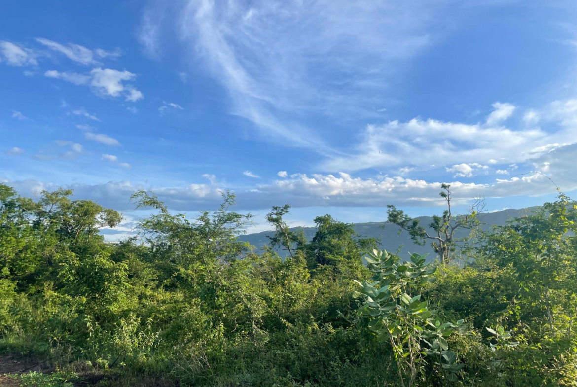 Fifteenth image of Mountainside, Saint Eliza in MOUNTAINSIDE, St. Elizabeth, Jamaica - property is For Sale