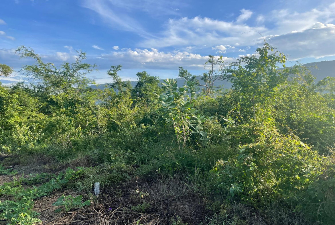 Sixteenth image of Mountainside, Saint Eliza in MOUNTAINSIDE, St. Elizabeth, Jamaica - property is For Sale