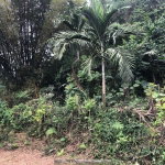 First image of Lot 3-woodlawn Mandeville P.o. in Mandeville, Manchester, Jamaica - property is For Sale