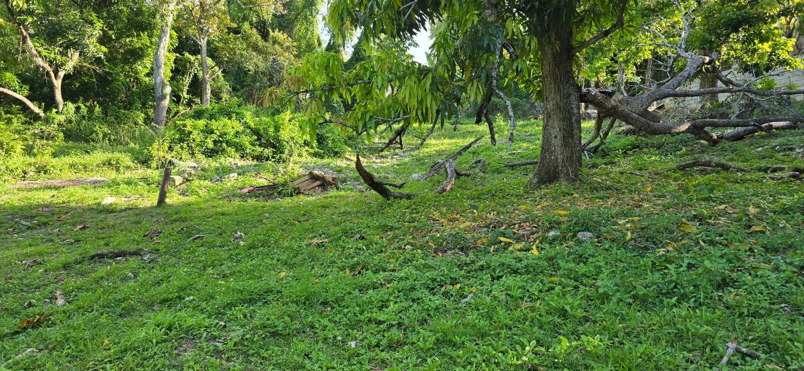Ninth image of 48 Pitfour Drive in Pitfour Gardens, St. James, Jamaica - property is For Sale