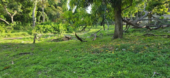 Ninth image of 48 Pitfour Drive in Pitfour Gardens, St. James, Jamaica - property is For Sale