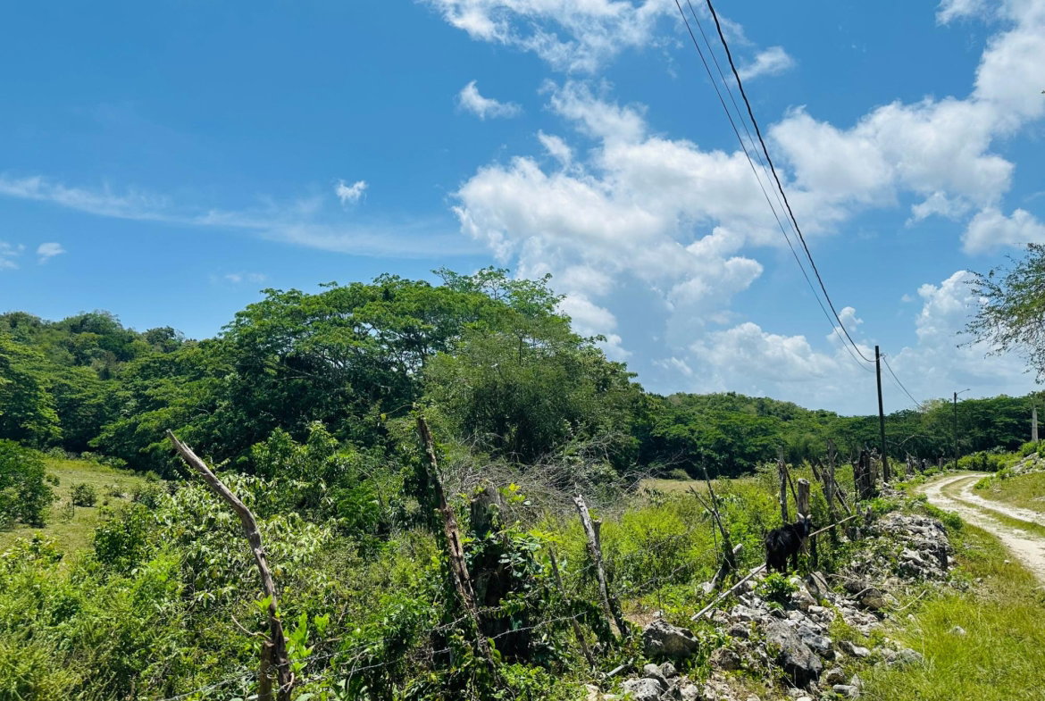 Eleventh image of Content Adelphi in Adelphi, St. James, Jamaica - property is For Sale