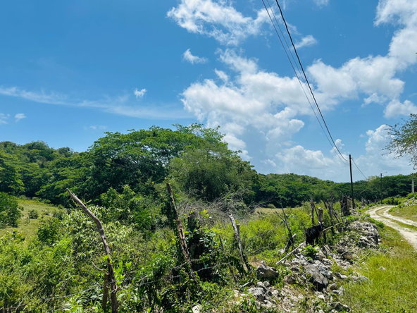 Eleventh image of Content Adelphi in Adelphi, St. James, Jamaica - property is For Sale