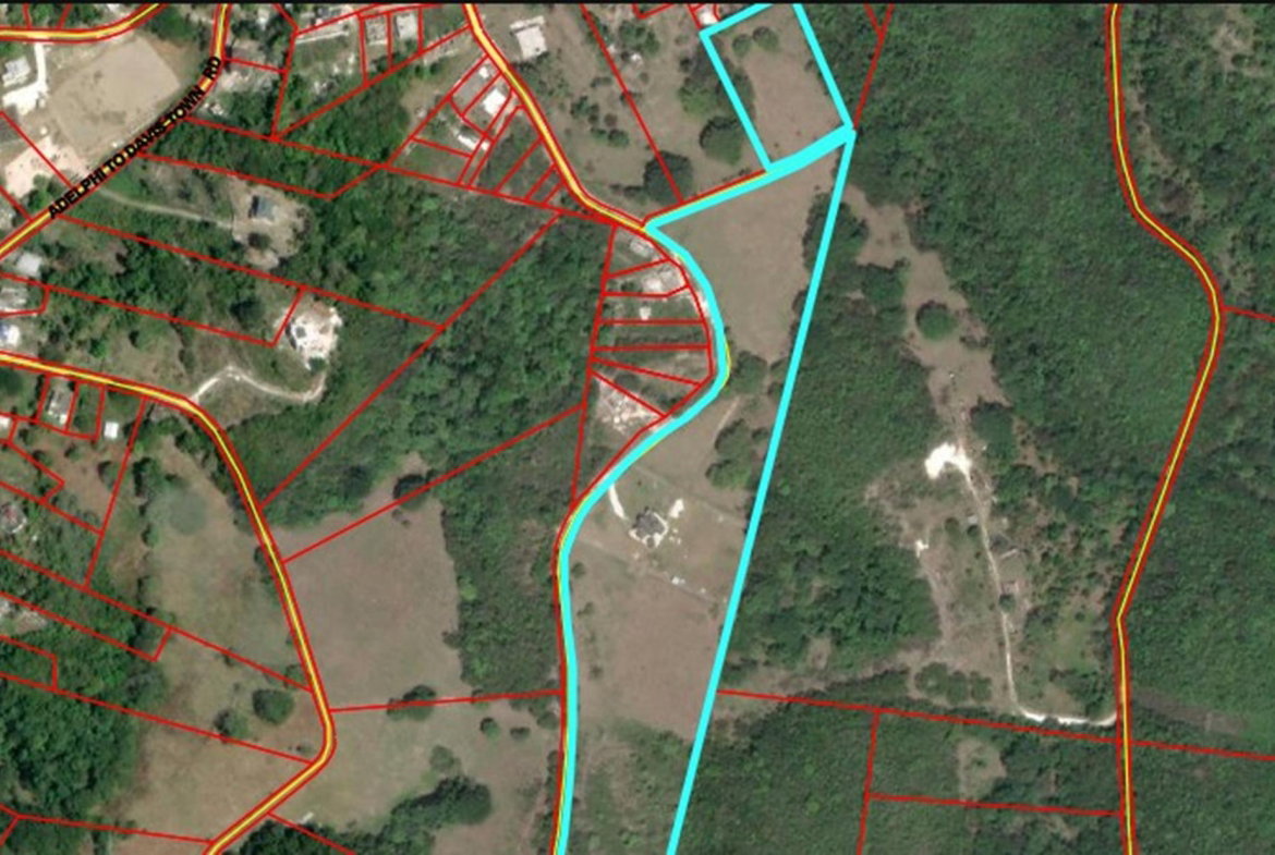 Seventh image of Content Adelphi in Adelphi, St. James, Jamaica - property is For Sale