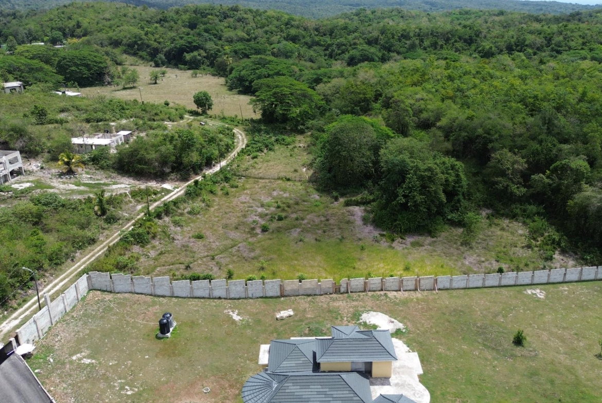 Ninth image of Content Adelphi in Adelphi, St. James, Jamaica - property is For Sale