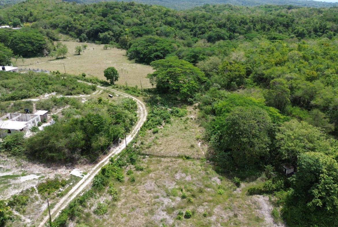 Tenth image of Content Adelphi in Adelphi, St. James, Jamaica - property is For Sale