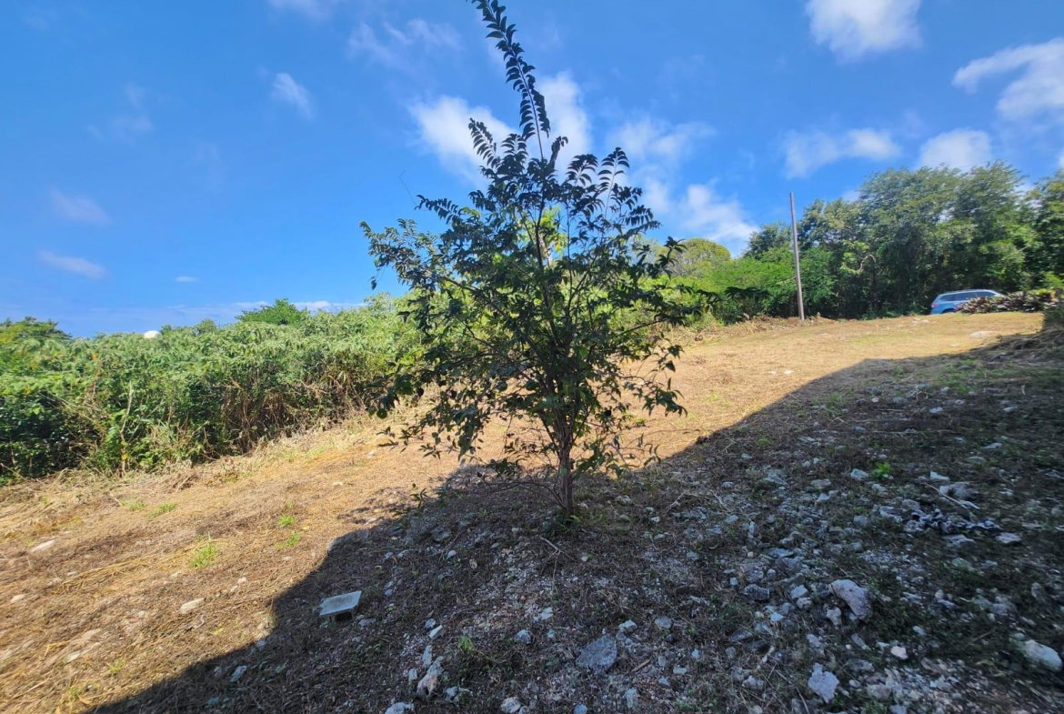 Fifteenth image of 126 Spring Farm Drive in Rose Hall, St. James, Jamaica - property is For Sale