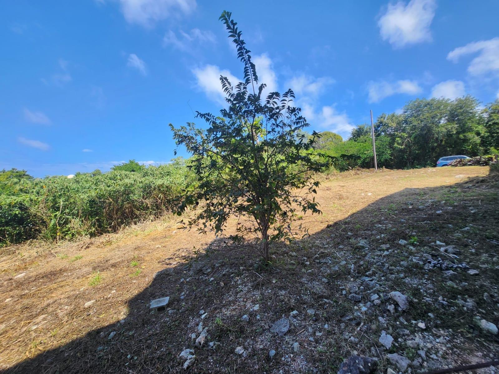 Luxury-Home-for-Sale-in-Highlands-St.-James-Jamaica-126-Spring-Farm-Drive Fifteenth image of 126 Spring Farm Drive in Rose Hall, St. James, Jamaica - property is For Sale