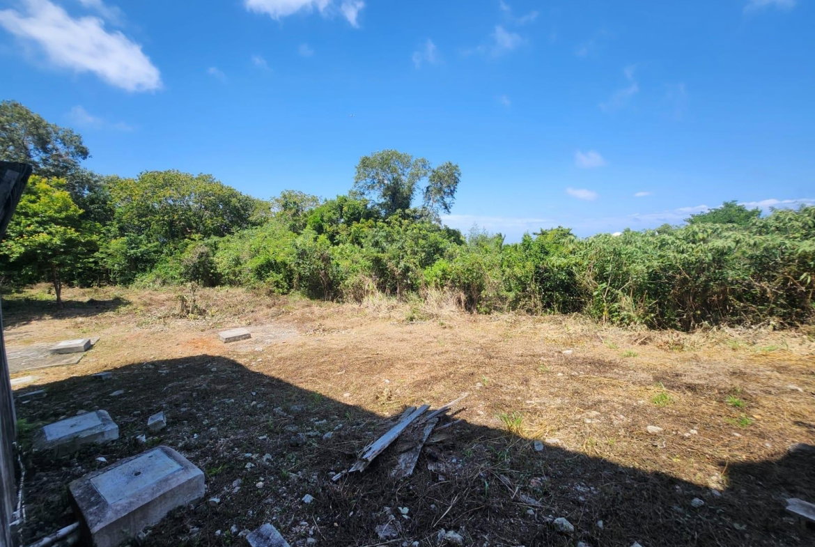 Twenty-Fourth image of 126 Spring Farm Drive in Rose Hall, St. James, Jamaica - property is For Sale