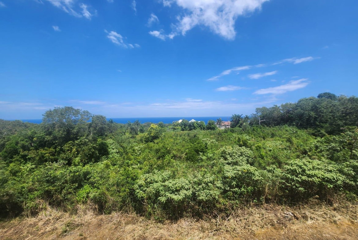 Sixth image of 126 Spring Farm Drive in Rose Hall, St. James, Jamaica - property is For Sale