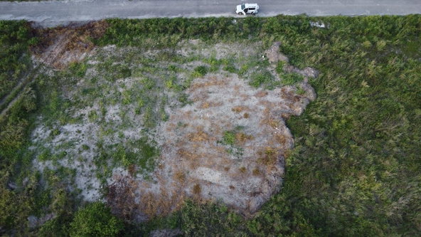Sixth image of #89 Flamingo Beach in Falmouth, Trelawny, Jamaica - property is For Rent