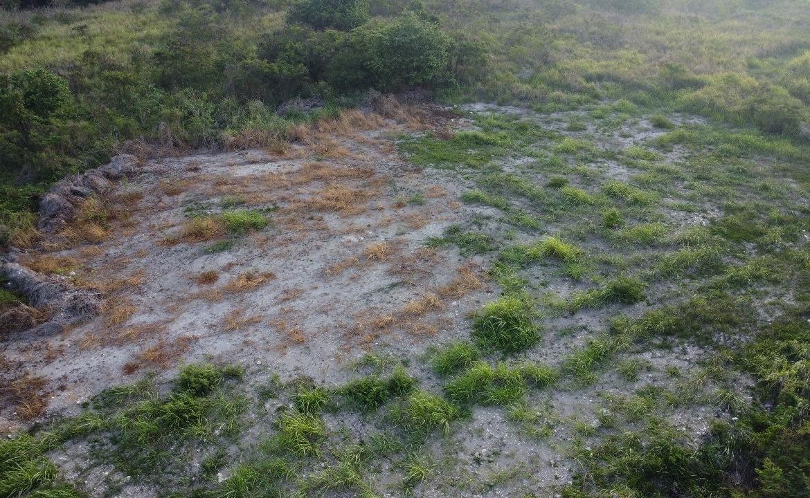 Ninth image of #89 Flamingo Beach in Falmouth, Trelawny, Jamaica - property is For Rent