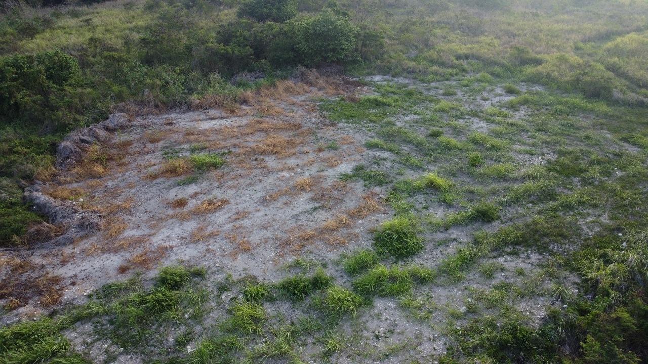 Ninth image of #89 Flamingo Beach in Falmouth, Trelawny, Jamaica - property is For Rent